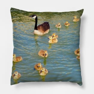 Canada Goose and Its Goslings Swimming Pillow