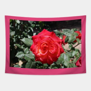 Flower Red Rose Tapestry