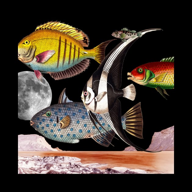 Fish World Collage by snexus
