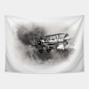 Stearman Biplane B+W Tapestry