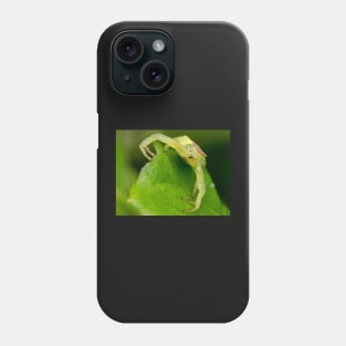 Unique and organic photo of a crab spider Phone Case