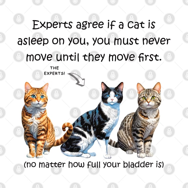 Experts agree if a cat is asleep on you you must never move no matter how full your bladder is - funny watercolour cat design by DawnDesignsWordArt