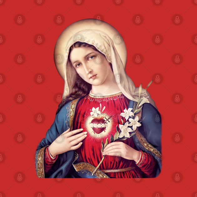 Immaculate Heart of Mary - IV by Brasilia Catholic