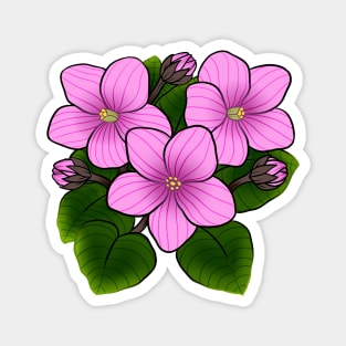 Pink African Violets in White Magnet