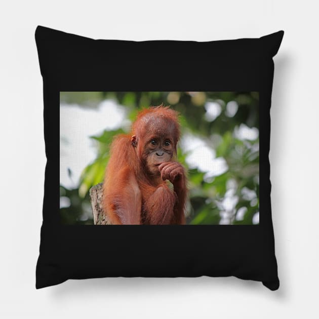 Deep In Thought Pillow by LeanneAllen