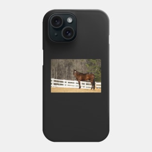 bay horse Phone Case