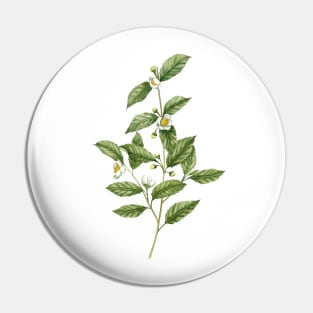 Watercolor tea plant artwork Pin