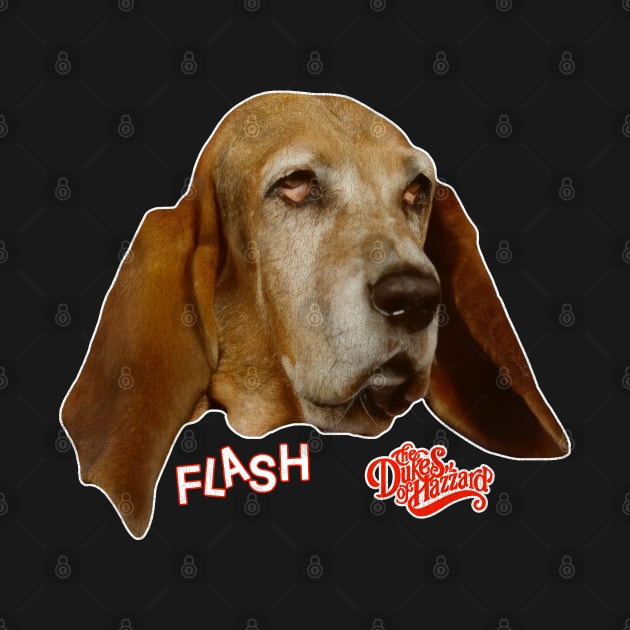 FLASH The Hound / Dukes of Hazzard by darklordpug