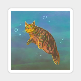 Harbor Seal Tabby Cat Magnet