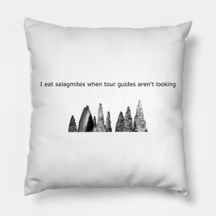 I eat salagmites when the tour guides aren't looking Pillow