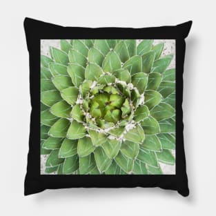 Plant print, Cactus print, Succulent, Scandinavian print, Trendy print, Styled, Pillow, Modern art, Wall art, Print, Minimalistic, Modern Pillow