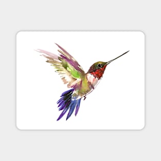 Hummingbird Magnet