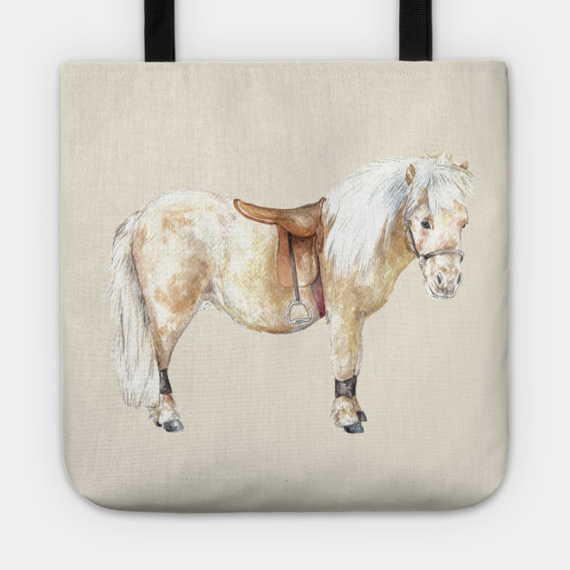Shetland Pony: Ready to Ride Horse