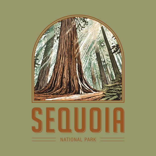 Sequoia National Park by Curious World