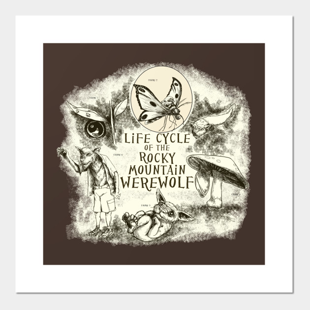 Life Cycle Of The Rocky Mountain Werewolf Werewolf Cartel E
