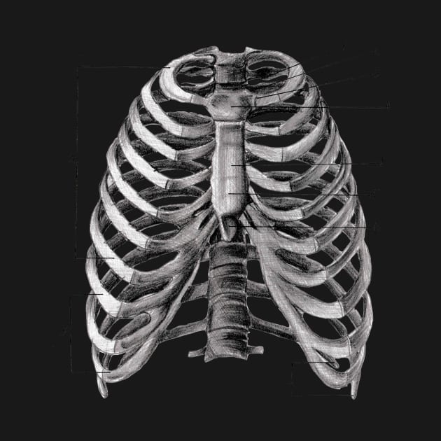Human rib cage print by Polikarp308
