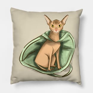 Funny Abyssinian cat Pillow