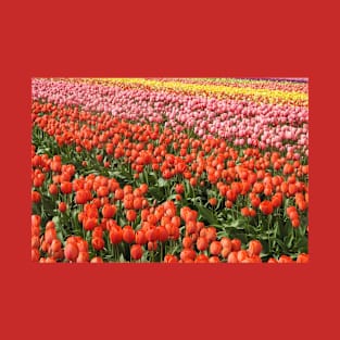 Tulips, nature, gifts, Washington State, Floral Rainbow T-Shirt