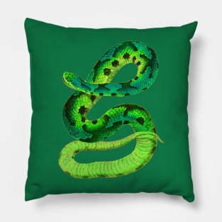 serpent,cobra,reptile,viper,venom,lizard,rattlesnake,king cobra Pillow