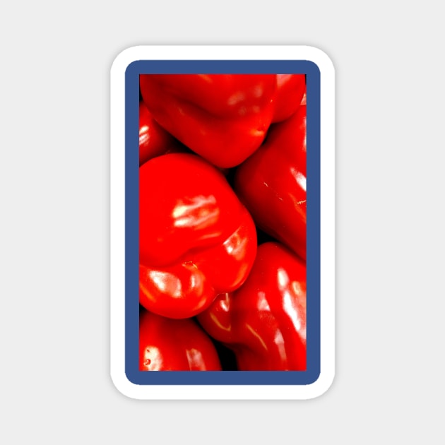 Red peppers Magnet by thadz