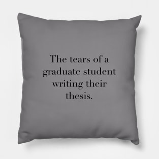 Tears of a Graduate Student Pillow