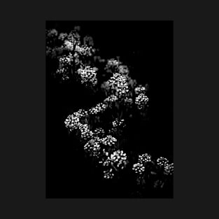 Backyard Flowers In Black And White 33 T-Shirt