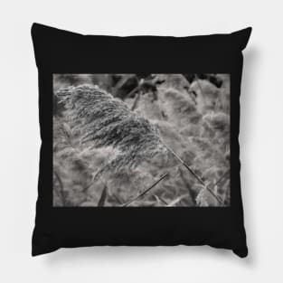 A Winter Wind Pillow