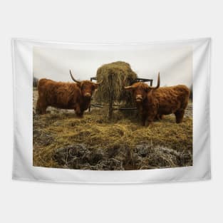 Scottish Highland Cattle Cows 2176 Tapestry