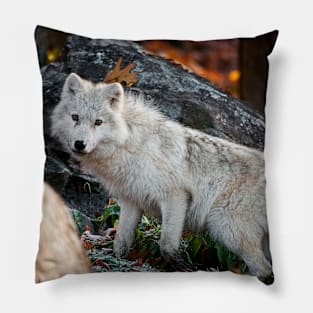 Arctic Wolf Pillow