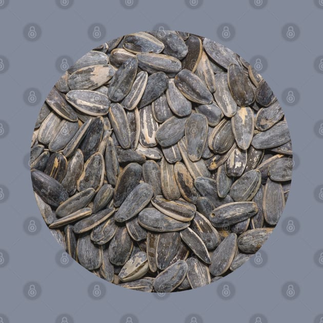 Sunflower Seeds Snack Food Photograph Circle by love-fi