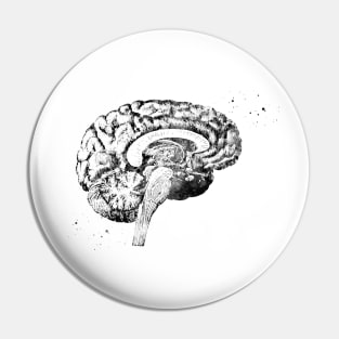 Brain anatomy Pin