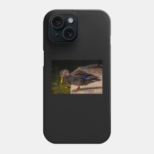 Wet Bill Phone Case