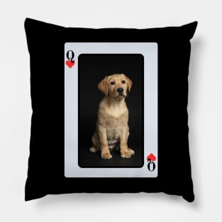 Golden Labrador Pillow