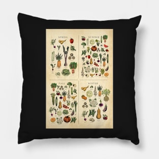 American Midwest Seasonal Fruit and Vegetable chart Pillow