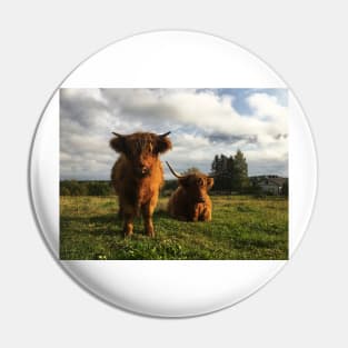 Scottish Highland Cattle Cow and Calf 2120 Pin