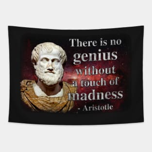 There is No Genius Without a Touch of Madness - Aristotle Quote Tapestry