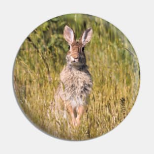 Ears Lookin' at You, Kid: Curious Eastern Cottontail Rabbit Pin