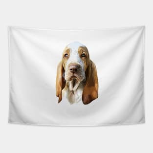 Bracco Italiano The gorgeous look! Tapestry