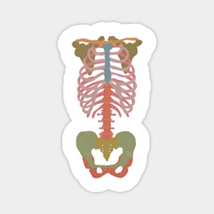 Pastel Skeleton Magnet