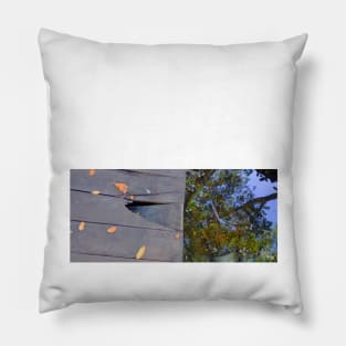 celestun ria wetland ecopark ecopop landscape photo in yucatan 1 Pillow