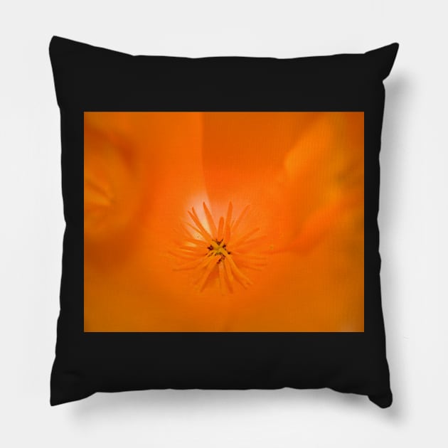 Orange Flower Pillow by randymir