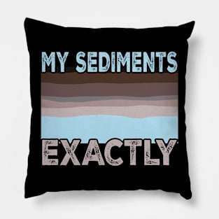 Geology Pun My Sediments Exactly Pillow