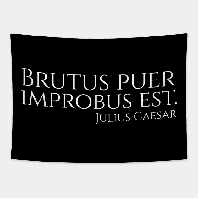 Ancient Rome - Brutus Puer Improbus Est - Julius Caesar Tapestry by Styr Designs