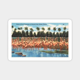 Hialeah Park, Miami, Florida postcard Magnet