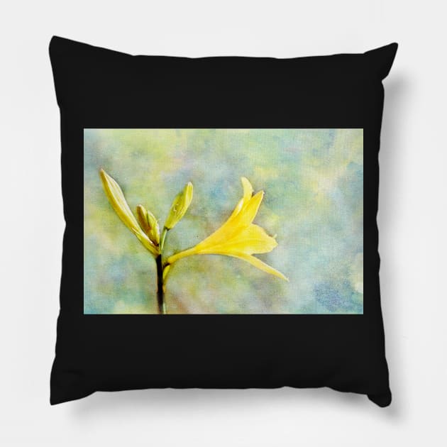 Textured photo of a yellow lily Pillow by marina63