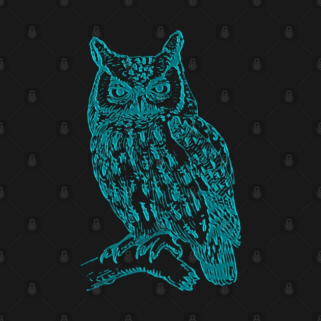 blue owl by hottehue