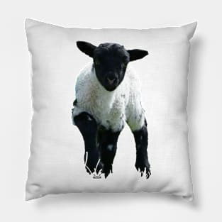 Lamb / Swiss Artwork Photography Pillow