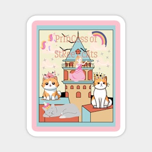 Princess of Istanbul street cats Magnet