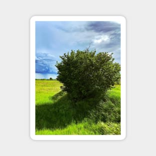 Nature Green Grass Tree Sky Clouds Italian Landscape Magnet