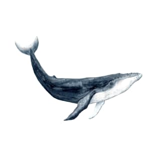 whale T-Shirt